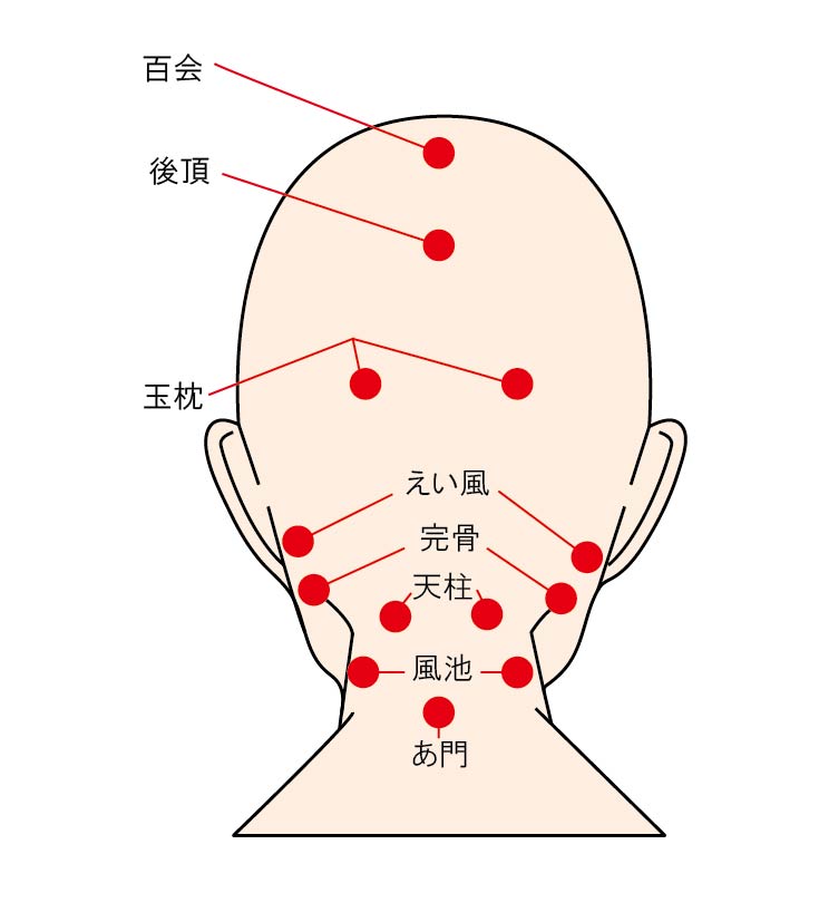 461168 育毛に効くツボはある？東洋医学が抜け毛の救世主に！