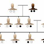 薄毛の体質は遺伝するが、それだけで薄毛にはならない？