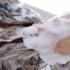 シャンプーで病気に？特に女性に気をつけてほしい頭皮からの害