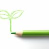 毛包が再生すれば、薄毛治療が一歩前進？iPS細胞からの誘導も？