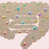 腸内環境が頭皮の環境も左右する？腸と髪の濃密な関係とは