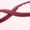 遺伝は後天的に変えられる？薄毛の遺伝子を生活習慣で変えよう