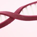 遺伝は後天的に変えられる？薄毛の遺伝子を生活習慣で変えよう